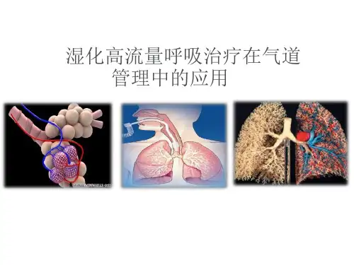 医学PPT课件：湿化高流量呼吸治疗在气道管理中的应用.