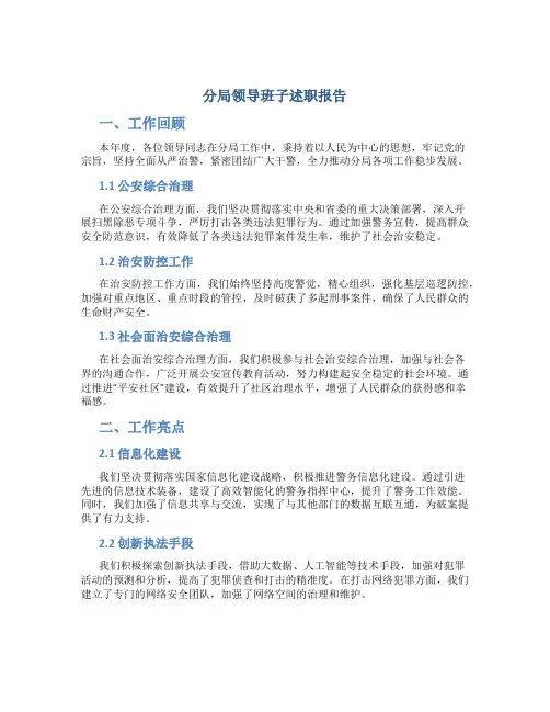 分局领导班子述职报告