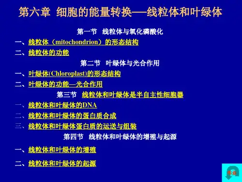 线粒体和叶绿体ppt课件