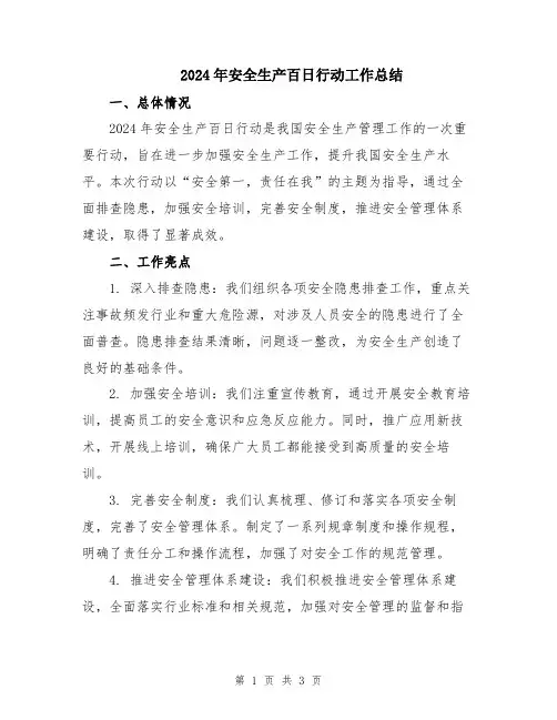 2024年安全生产百日行动工作总结