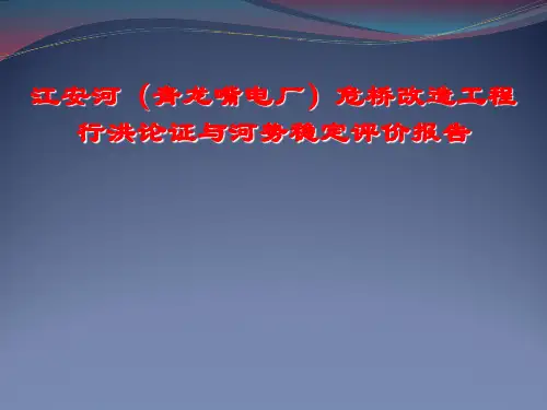 江安河青龙嘴桥梁工程行洪论证