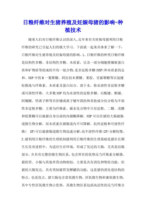 日粮纤维对生猪养殖及妊娠母猪的影响 - 种植技术