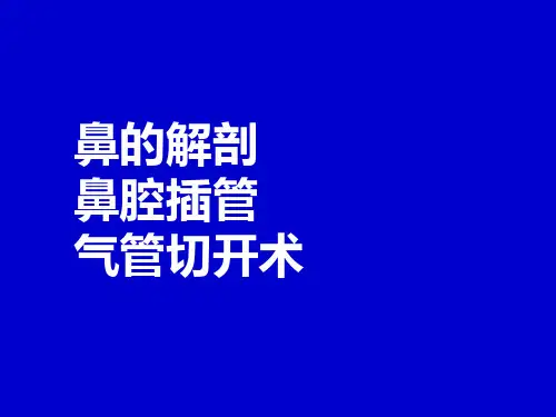 鼻解剖-鼻插-气管切开术.1