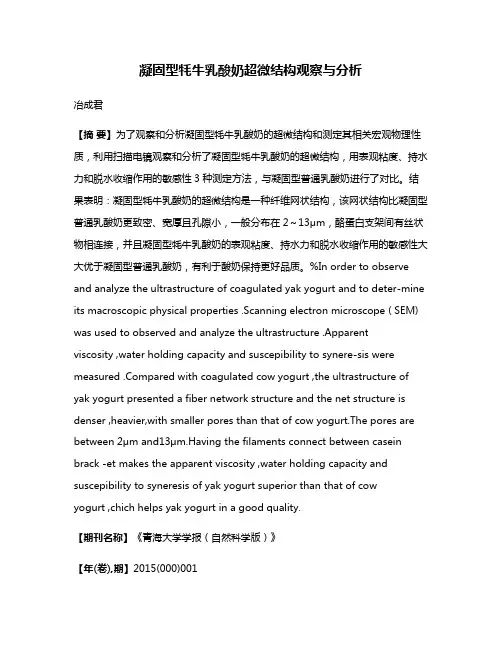 凝固型牦牛乳酸奶超微结构观察与分析
