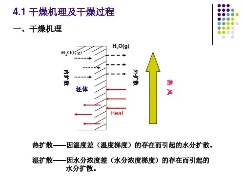 精选陶瓷生产技术及设备之坯体的干燥培训课件