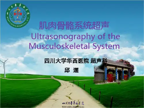 (必备)肌骨超声