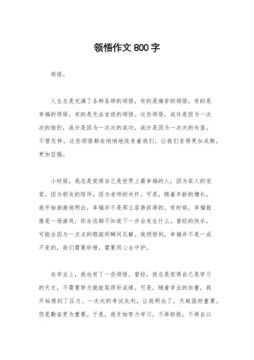 领悟作文800字
