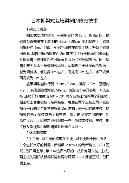 日本棚架式栽培梨树的修剪技术