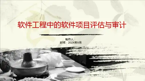 软件工程中的软件项目评估与审计