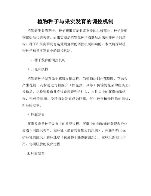 植物种子与果实发育的调控机制