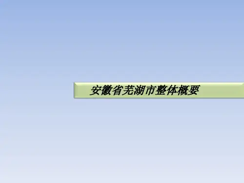 芜湖城市概况