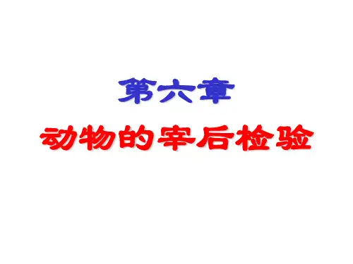 宰后检验