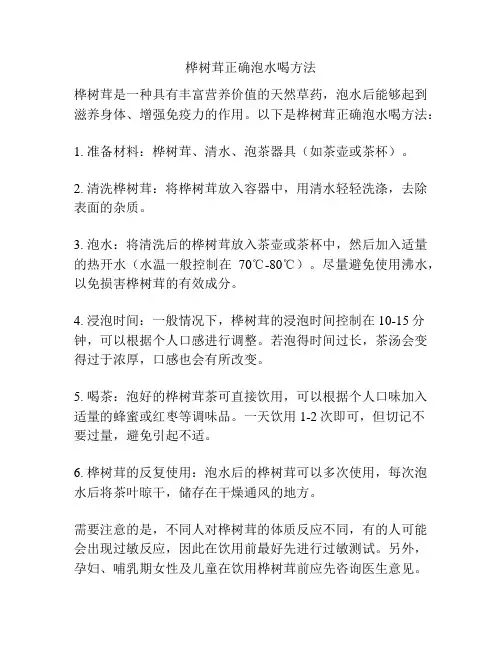 桦树茸正确泡水喝方法