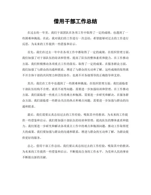 借用干部工作总结