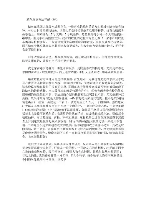 鲶鱼路亚方法详解