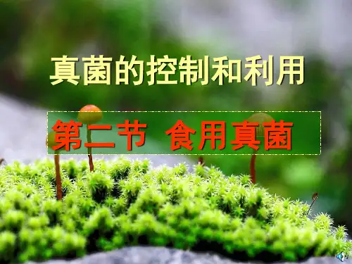 冀少版生物八年级上册课件：第五单元 微生物的生活 第二章 真菌 食用真菌 (共22张PPT)
