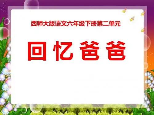 《回忆爸爸》PPT课件2