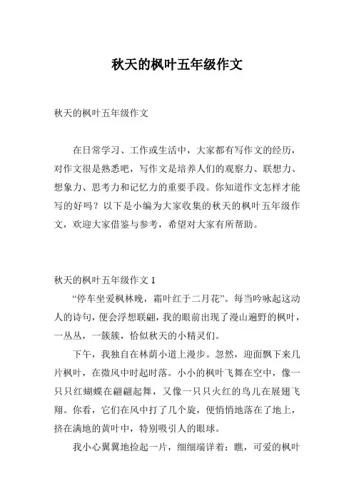 秋天的枫叶五年级作文