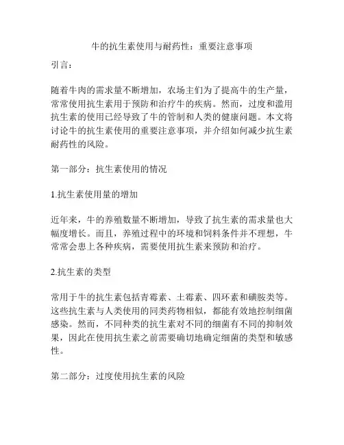 牛的抗生素使用与耐药性：重要注意事项