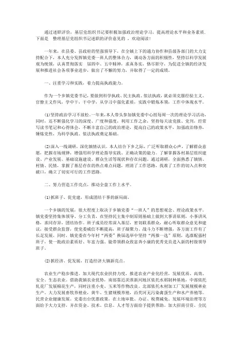 对基层党组织书记述职的评价意见【精选】