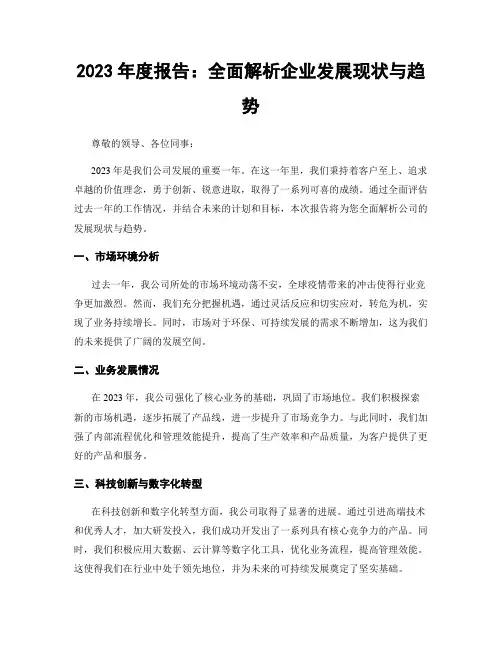 2023年度报告：全面解析企业发展现状与趋势