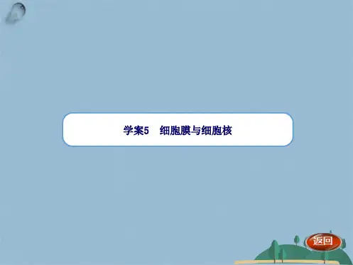 高考生物一轮复习“学案”课件：第讲 细胞膜与细胞核(共30张PPT)