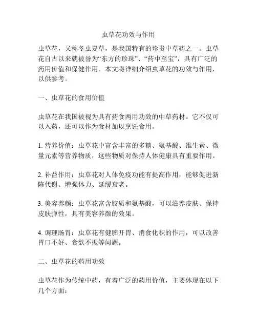 虫草花功效与作用