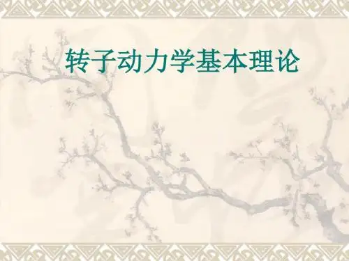 转子动力学基本理论-文档资料