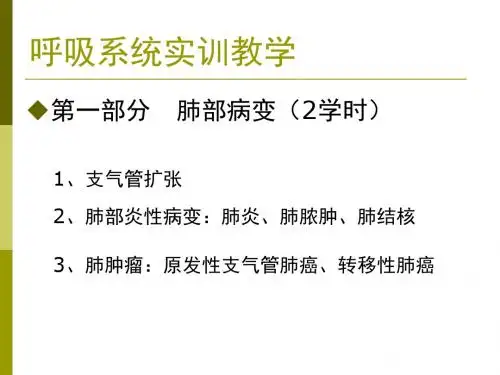 呼吸系统实训教学
