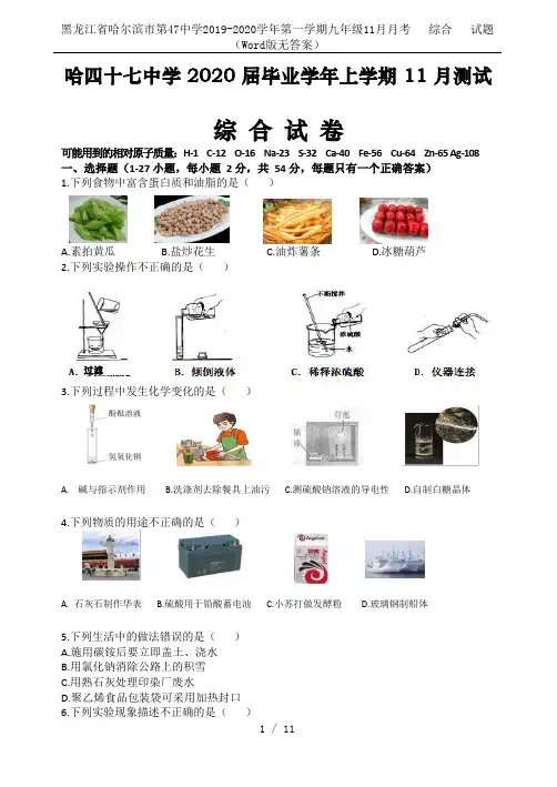 黑龙江省哈尔滨市第47中学2019-2020学年第一学期九年级11月月考   综合   试题(Wor