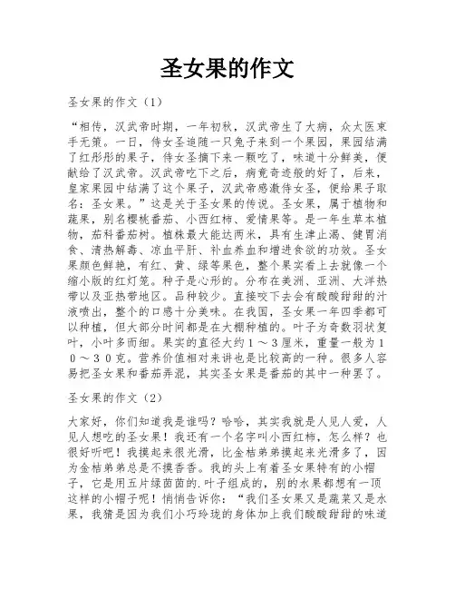 圣女果的作文