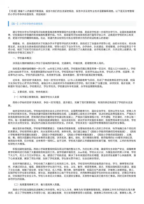 小学办学条件自查报告