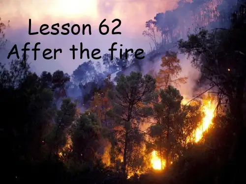 Lesson62Afterthefire(课件)新概念英语第二册(2)