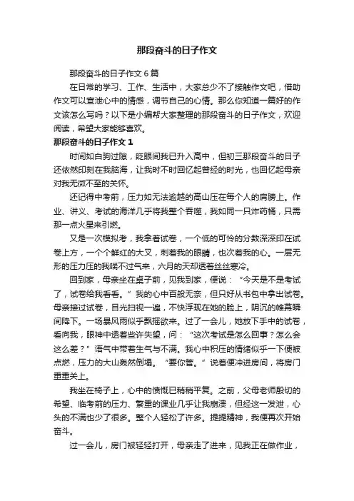 那段奋斗的日子作文