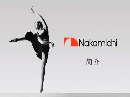 nakamichi演示稿