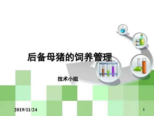 后备母猪的饲养管理ppt课件