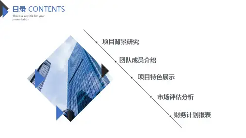 软件开发项目策划书课件