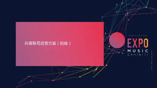 抖音代运营方案_Decrypt