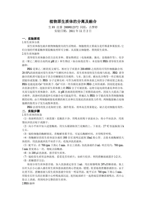 植物原生质体的分离及融合