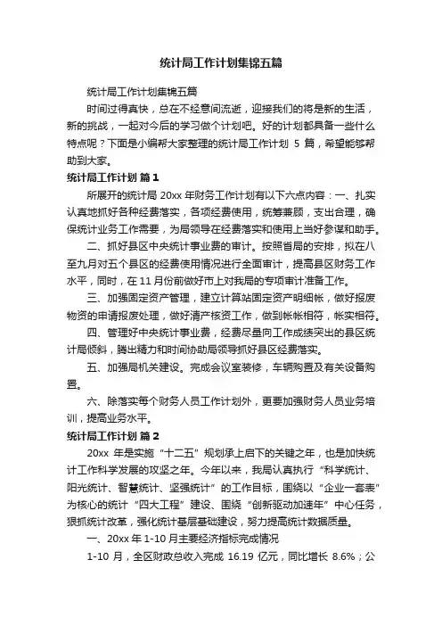 统计局工作计划集锦五篇