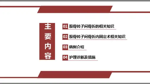 股骨转之间骨折护理查房ppt课件