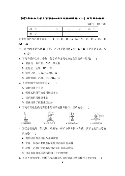 2023年初中化学九下第十一单元达标测试卷(二)打印版含答案