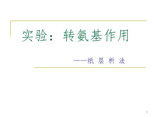 转氨基作用 jxPPT精选文档
