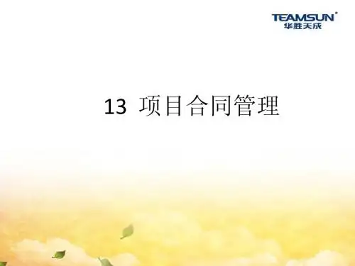 系统集成项目管理工程师_13_项目合同管理