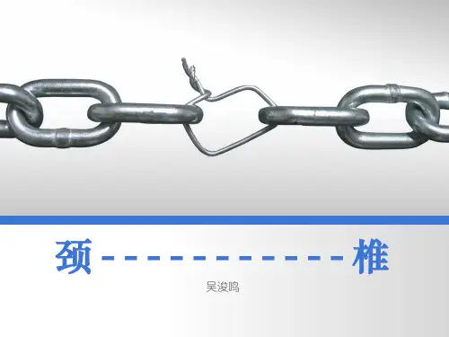 《颈椎》ppt课件