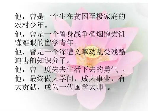 《清塘荷韵》课件(1)