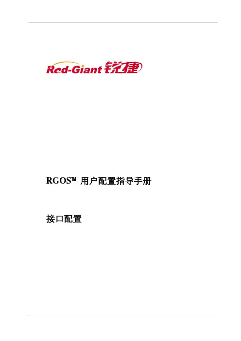 NBR系列路由器RGNOS9.17版本配置手册_第二部分 接口配置指导