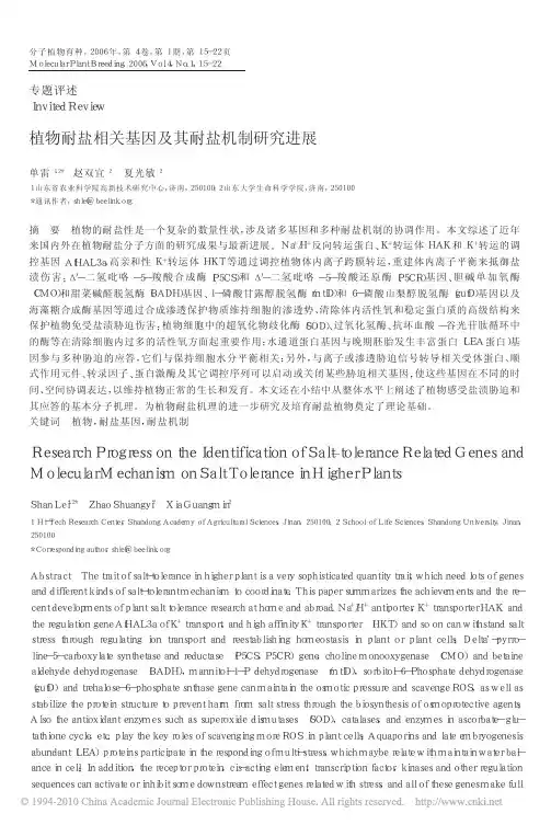 植物耐盐相关基因及其耐盐机制研究进展