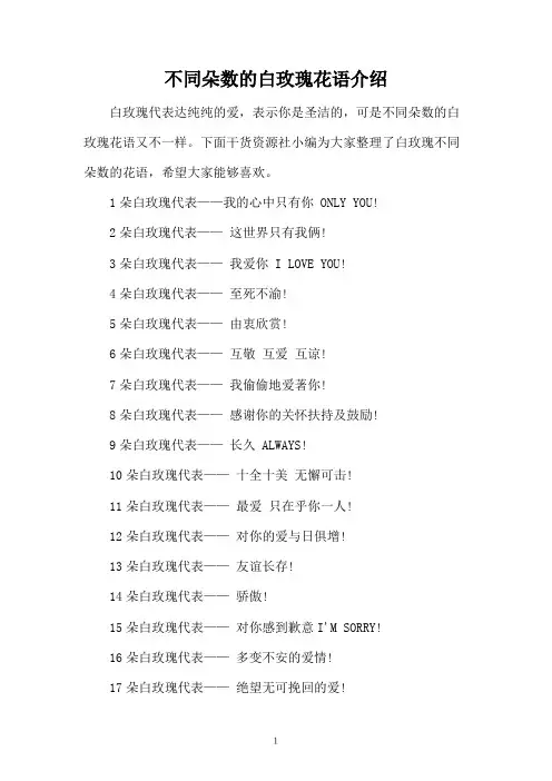 不同朵数的白玫瑰花语介绍