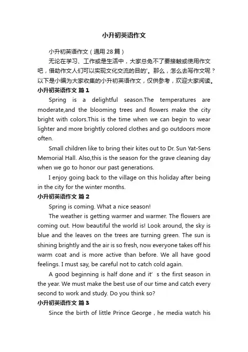 小升初英语作文（通用28篇）